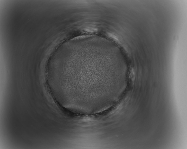 X0000088701009200706141426