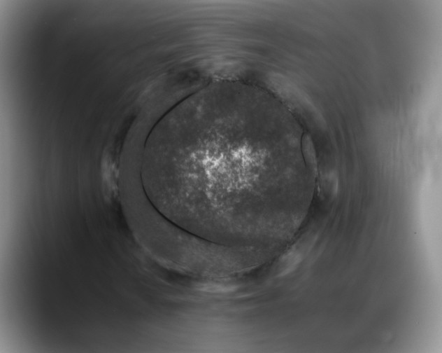 X0000088701010200706141426