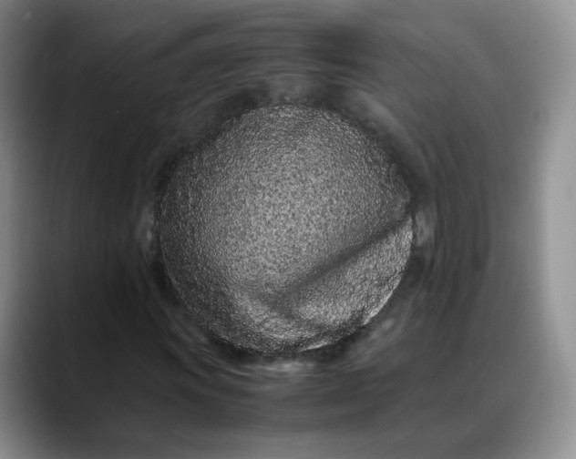 X0000088701011200706141426