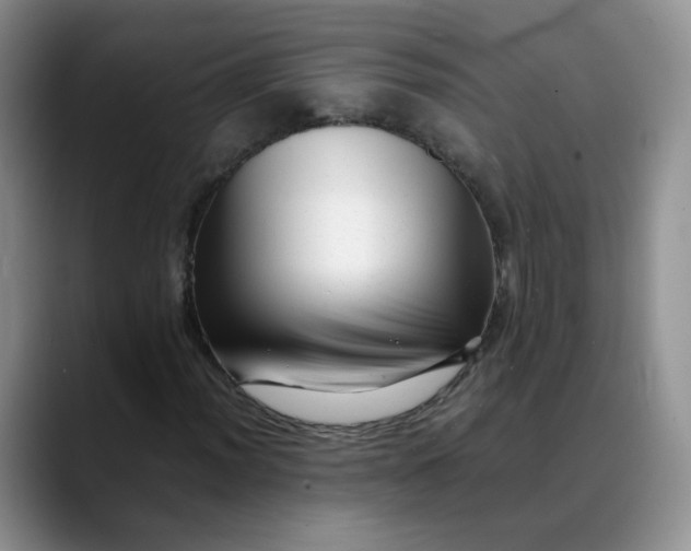 X0000088701012200706141426