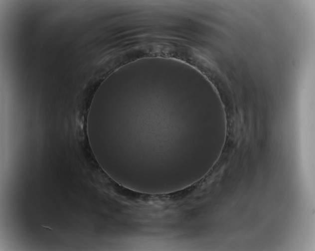X0000088701013200706141426