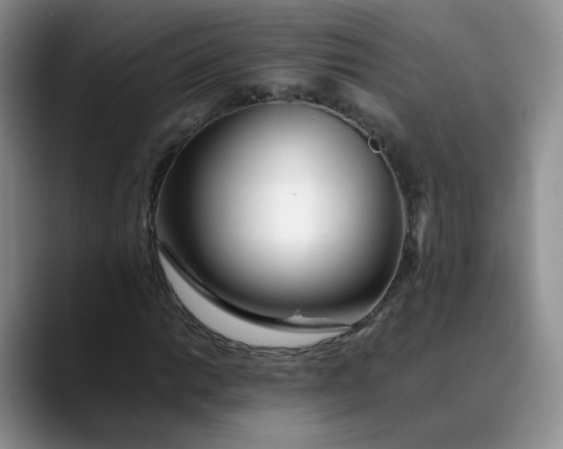 X0000088701014200706141426