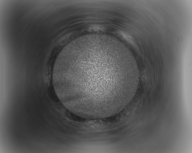 X0000088701015200706141426
