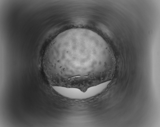X0000088701016200706141426