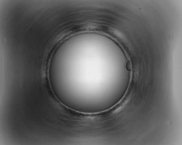 X0000088701017200706141426