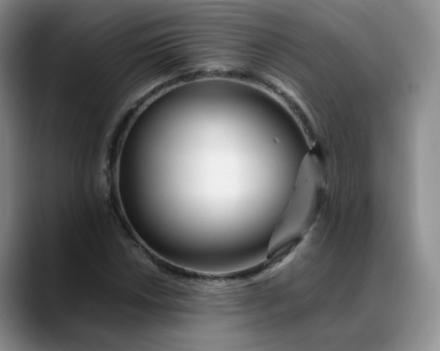 X0000088701018200706141426