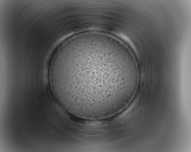X0000088701019200706141426