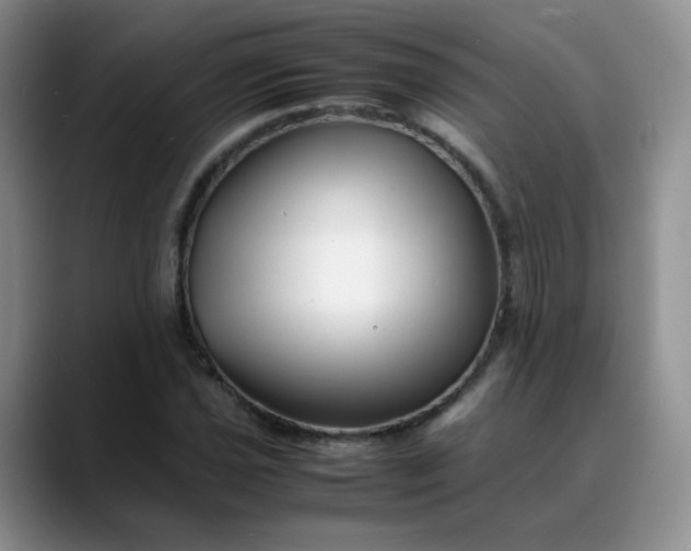 X0000088701021200706141426