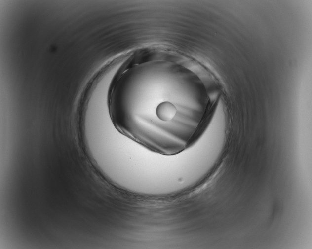 X0000088701022200706141426