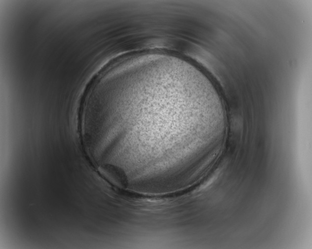 X0000088701023200706141426