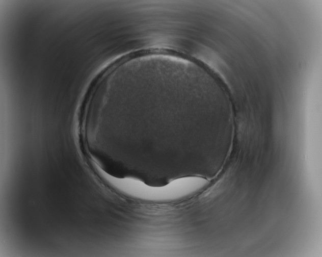 X0000088701024200706141426