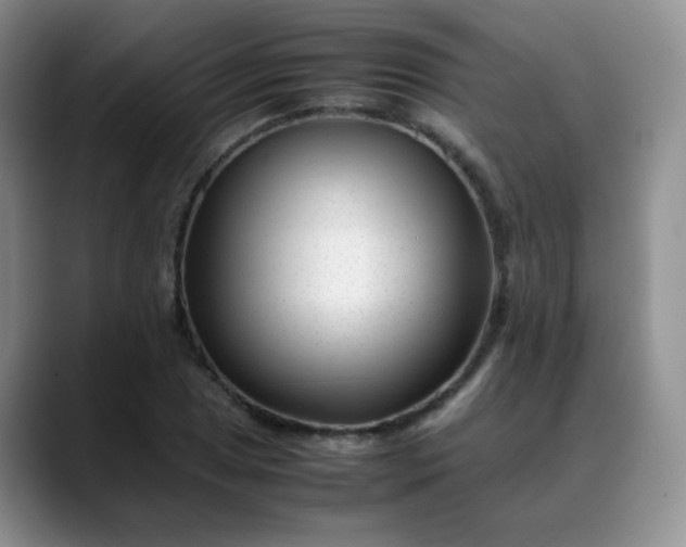 X0000088701025200706141426