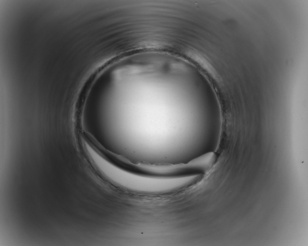 X0000088701026200706141426