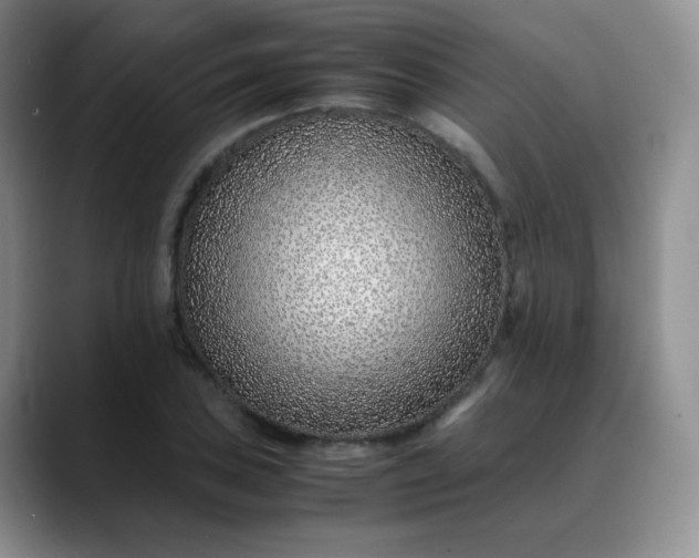 X0000088701027200706141426