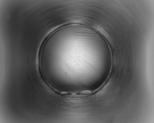 X0000088701028200706141426