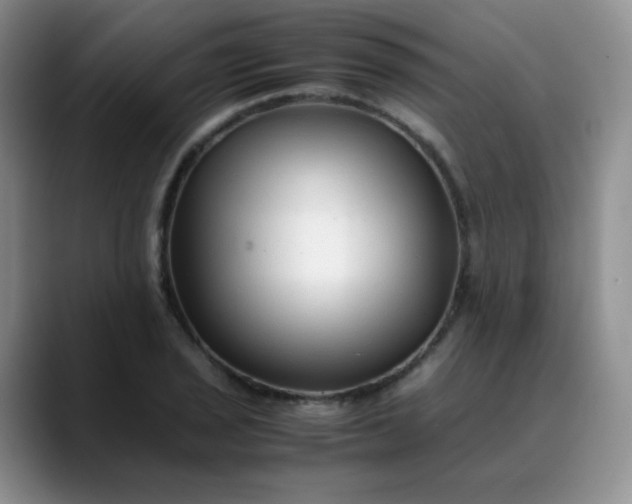 X0000088701029200706141426