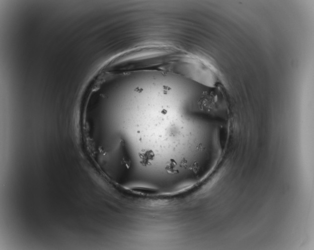 X0000088701030200706141426