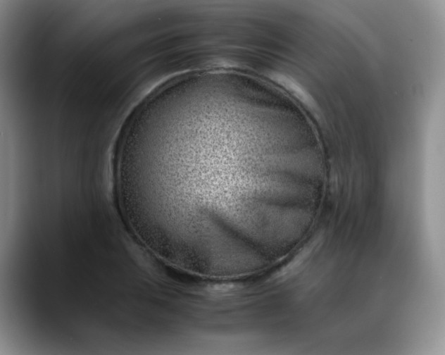 X0000088701031200706141426