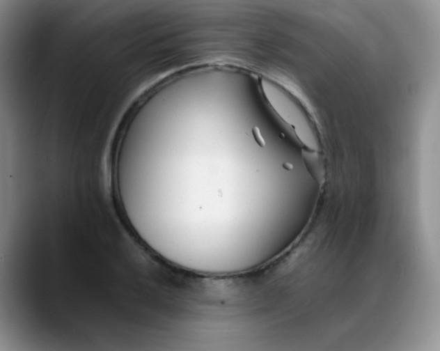 X0000088701032200706141426
