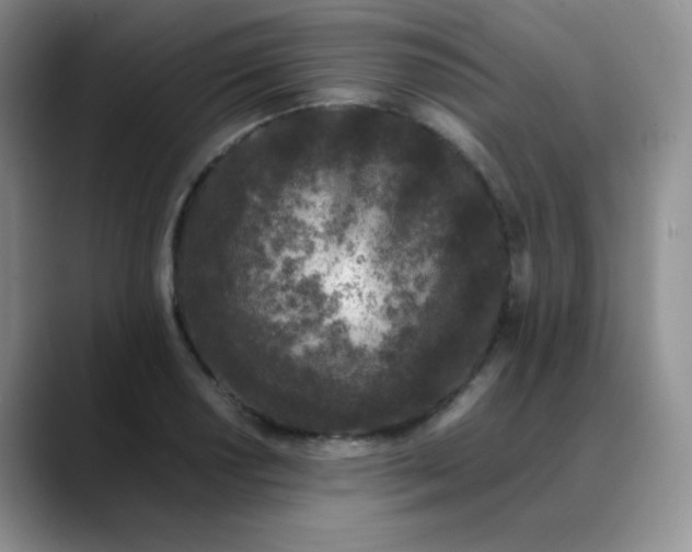 X0000088701034200706141426