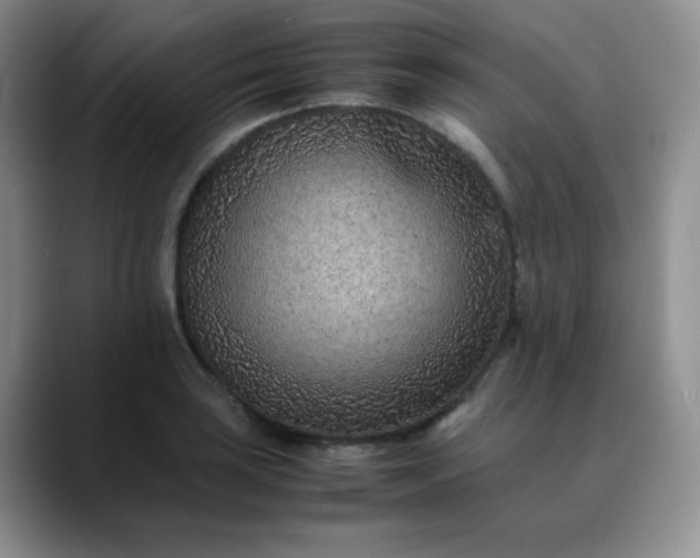 X0000088701035200706141426