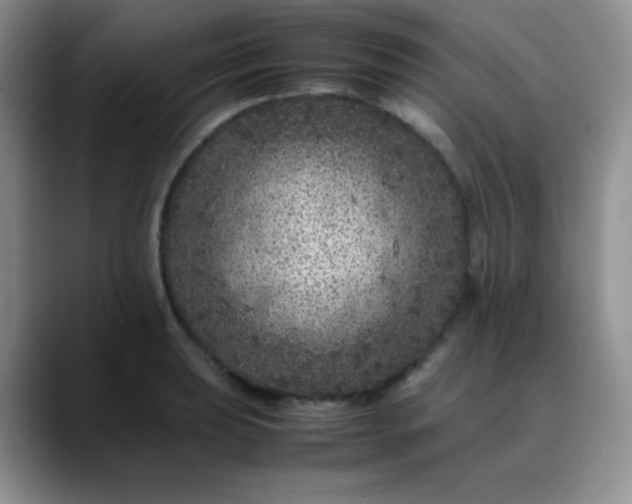X0000088701039200706141426