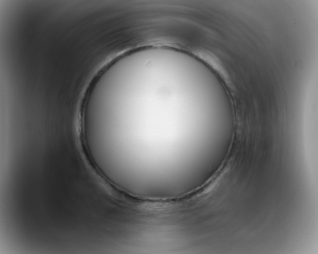 X0000088701040200706141426