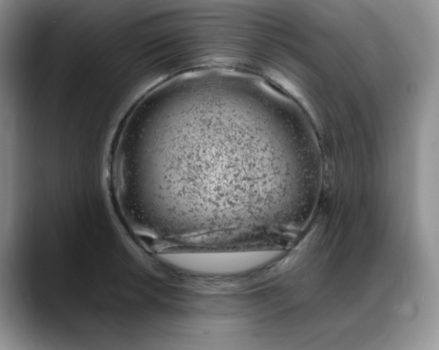 X0000088701042200706141426