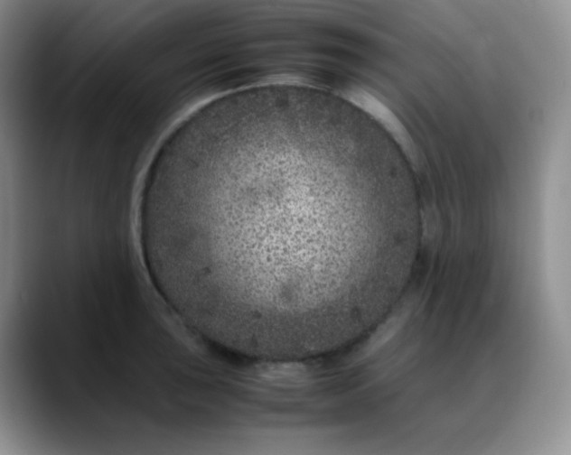 X0000088701043200706141426