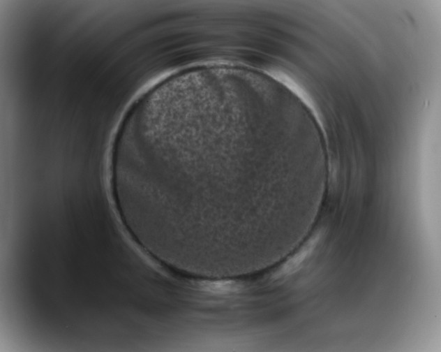 X0000088701045200706141426