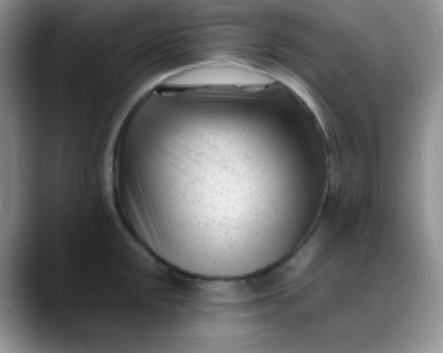 X0000088701048200706141426