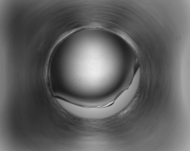 X0000088701052200706141427