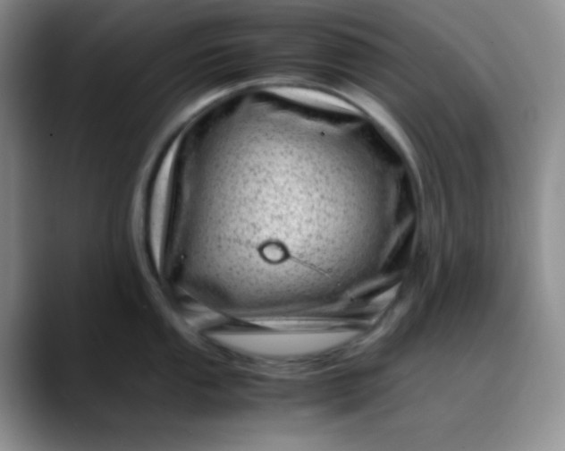 X0000088701053200706141427