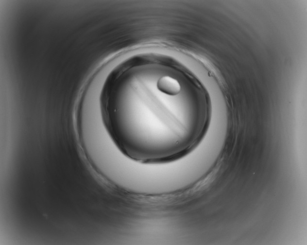 X0000088701054200706141427