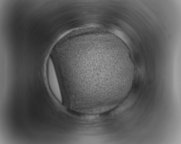 X0000088701055200706141427