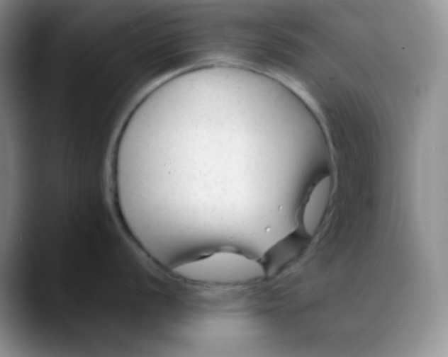 X0000088701056200706141427