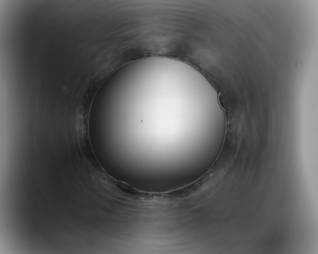 X0000088701058200706141426