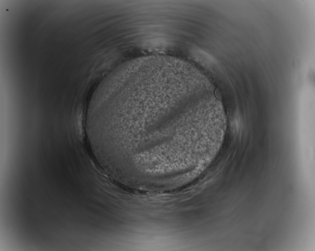 X0000088701060200706141426