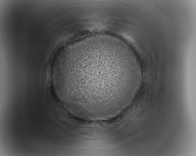 X0000088701063200706141426