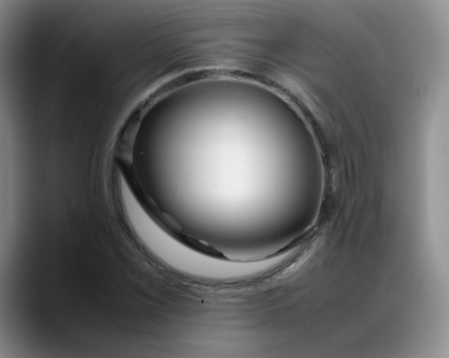 X0000088701069200706141426