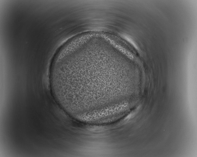 X0000088701071200706141426