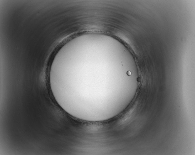 X0000088701074200706141426