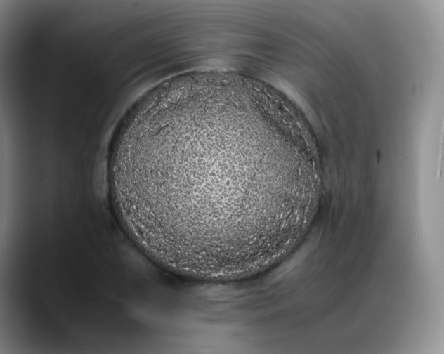 X0000088701075200706141426