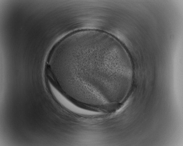 X0000088701077200706141426