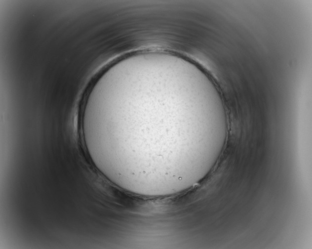X0000088701078200706141426