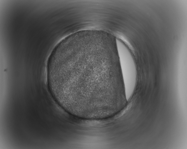 X0000088701079200706141426