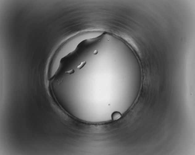 X0000088701080200706141426
