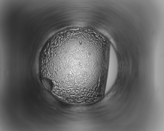X0000088701083200706141426