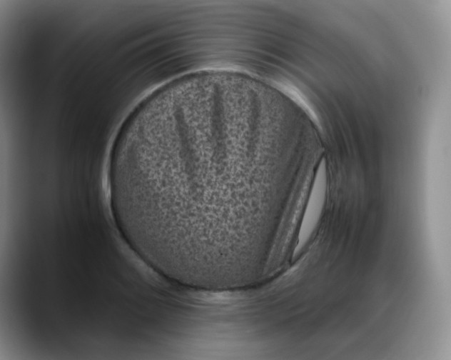 X0000088701084200706141426
