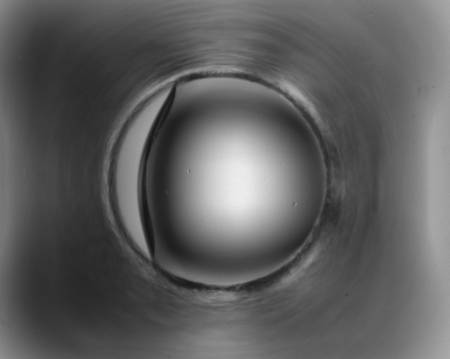 X0000088701085200706141426